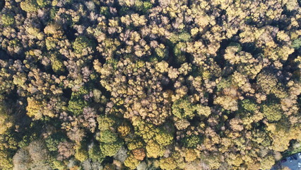 close up of a fabric