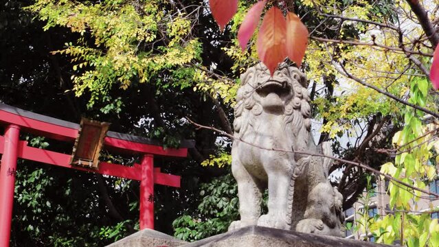 Japanese Temple with autumn leaves