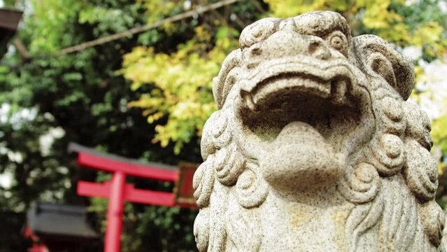 Japanese Temple with autumn leaves