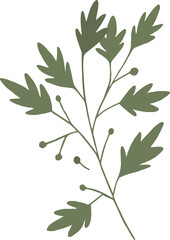 Christmas flower botanical clipart illustration in flat cartoon style. Merry Christmas and Happy New year floral evergreen element, isolated