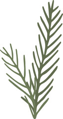 Fototapeta na wymiar Christmas tree fir brunch clipart illustration in flat cartoon style. Merry Christmas floral flower botanical evergreen element, isolated