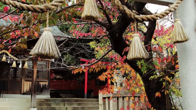 Japanese Temple with autumn leaves