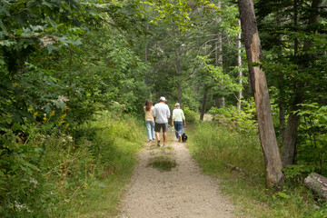 2 women, a man, and a dog walking on a trail in the woods