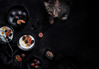 Healthy breakfast near cat