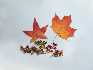 Herbstlaub Deco Tisch