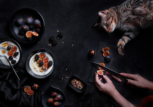 Crop woman cutting figs while cooking near cat