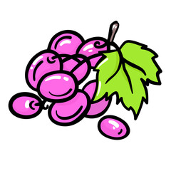 Grapes colorful sticker