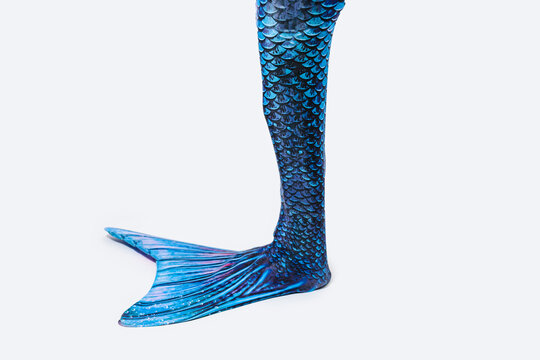 Blue tail of mermaid with scales