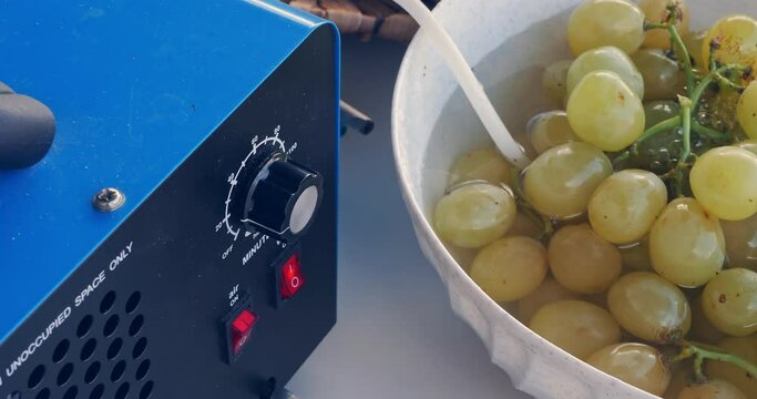 A bunch of grapes in a bowl with water with a round ozonating stone. Tubes leading to oxygen pump and ozone generator