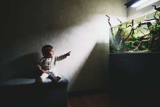A small cute surprised baby sits on a pouf in a dark room and points finger at the beautiful freshwater aquascape with live aquarium plants, Frodo stones, redmoor roots covered by java moss.