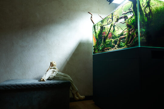 A toy rabbit sits on a pouf in a dark room and looks at the beautiful freshwater aquascape with live aquarium plants, Frodo stones, redmoor roots covered by java moss.