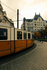 Fototapeta na wymiar tram and train