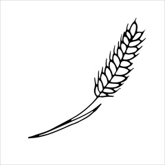 Ear of wheat. Coloring page, design element. Doodle style. Vector Illustration.