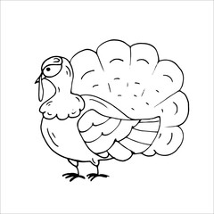 Turkey Coloring Page Thanksgiving day. Isolated Vector Illustration
