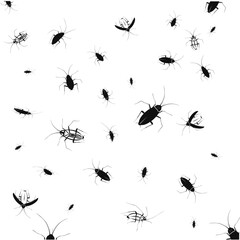Set of vector silhouettes of different black cockroaches