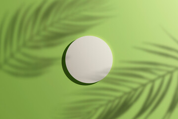 Realistic 3d rendering platform for product display on green pastel background with leaf shadows. Top view.