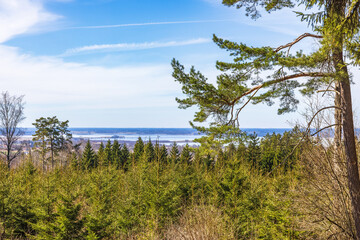 Fototapeta na wymiar View from a spruce forest with a lake