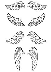Angel bird wings outline black and white line art vector SVG