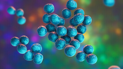 Staphylococcus lugdunensis bacteria, 3D render