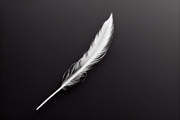 Close-up texture of a pastel angel feather on a dark background.