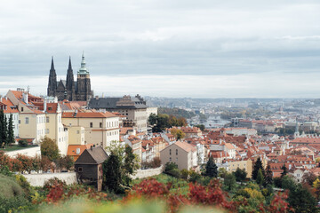 Obraz premium View of Prague castle and orange roofs from a hill colored with red foliage