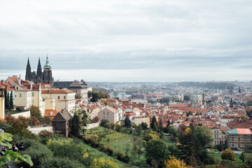 Fototapeta na wymiar View of Prague Castle from the hill and the orange roof in harmony with nature