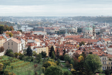 Fototapeta na wymiar View of Prague from a hill full of orange roofs