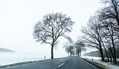 eine winterliche, neblige Landschaft im Winter