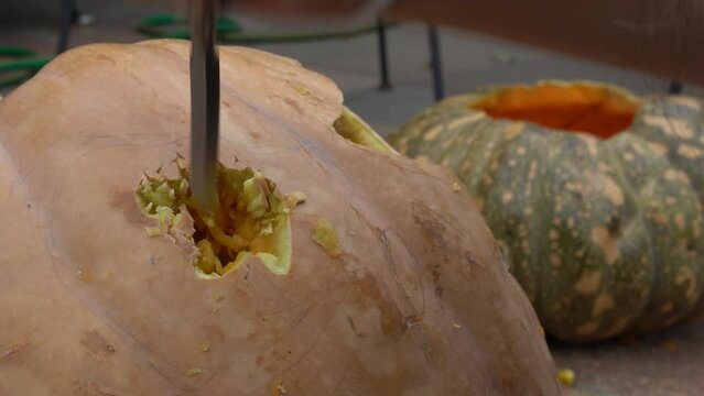 female carving large orange pumpkin for Halloween while sitting at wooden table at home