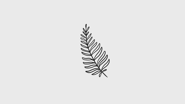 Fern animation for vintage style. Smooth moving flowers for an animated look of logos and text copy space
