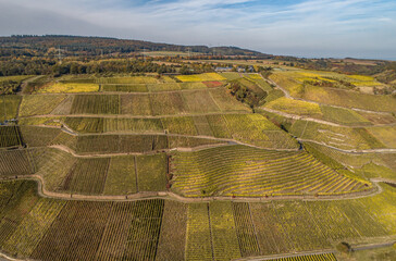 Aerial view Famous German Wine Region Moselle River Lay and Guels village Autumn Fall colors