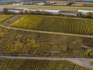 Aerial view Famous German Wine Region Moselle River Lay and Guels village Autumn Fall colors
