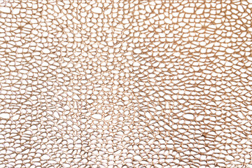 gold texture white background