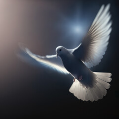dove in mid flight