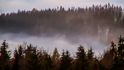 Polskie wzgórza i góry otoczone mgłą
