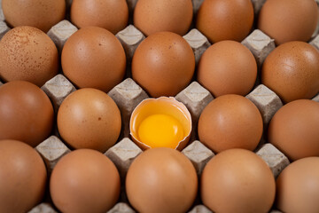 Brown Eggs and Egg Yolk on the Colorful Background, Easter Concept Top View Photo, Uskudar Istanbul, Turkey