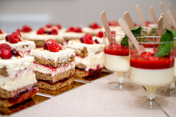 Close up of cakes with fresh fruits and berries arranged in a row on a party table