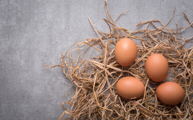 chicken egg on rice straw with copy space. Organic food concept.