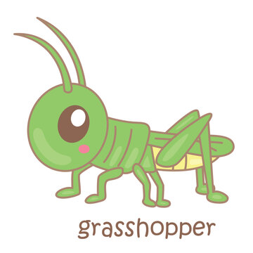 Alphabet G For Grasshopper  Illustration Vector Clipart