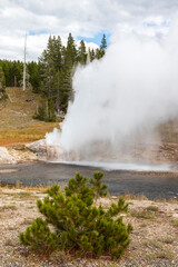 Geyser near Old Faithul Geyser at Yellowstone national Park.