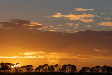 Dramatischer Abendhimmel und Baum Allee, Trauerkarten, Danksagung
