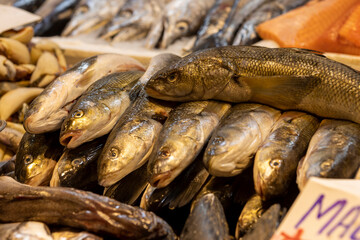 Fresh fish at the Central Market (Mercado Central) in Santiago de Chile
