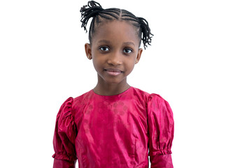 Portrait of cute African little girl with braided hair in pink dress, looking at camera, isolated...