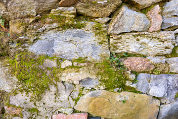 Pared de piedra con musgo
