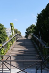 Vertical shot of a wooden bridge decorated with green plants found in Paris, France