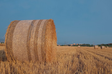 Golden hay bales on a field in Parco Degli Acquedotti, a Aqueduct Park in Rome, Italy. Large round grain bundles to feed ruminant animals. Agriculture, farm, harvest, country background and scenery.