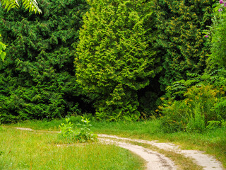 Way for carts to drive a park bypass