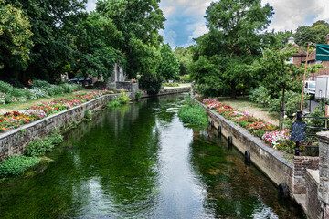 Fototapeta na wymiar River Stour in Westgate Gardens, Canterbury, Kent, England, UK 