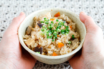 おかず要らずな炊き込みご飯