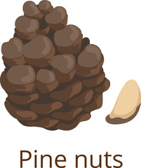 Pine nut icon. Cartoon healthy raw seed